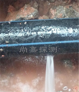 周至消防管道漏点探测